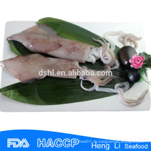 Gefrorener ganzer Tintenfisch aus China alibaba